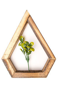 High angle view of plant against white background