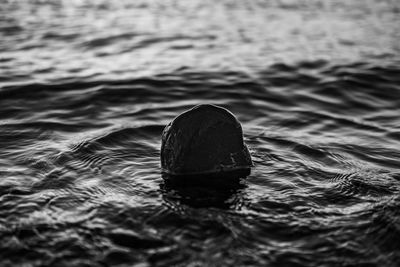 Close-up of rock in lake