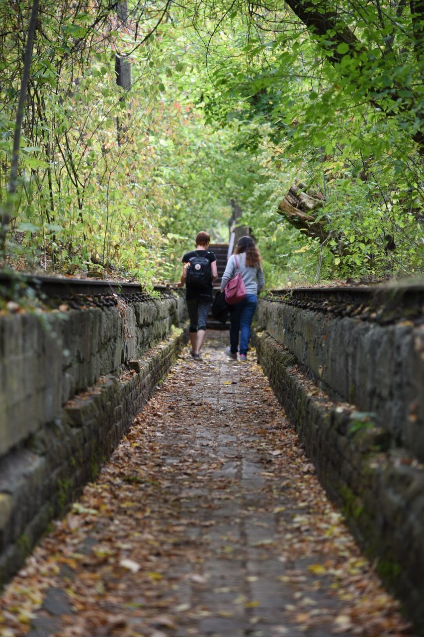 rear view, tree, the way forward, togetherness, walking, cobblestone, person, footpath, day, stone material, pathway, outdoors, tunnel, narrow, nature