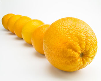 Close-up of orange fruit against white background