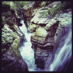 Stream flowing through rocks in forest