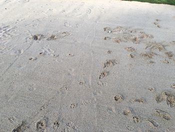 High angle view of footprints on sand at beach