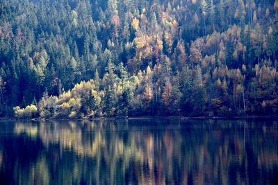 Scenic view of lake