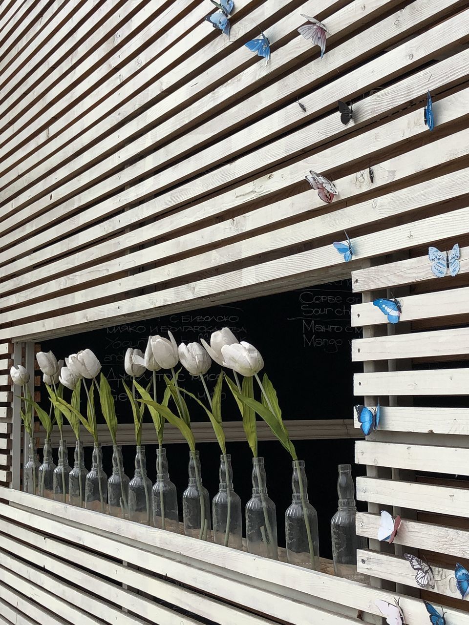 WHITE BIRDS ON RAILING AGAINST WALL