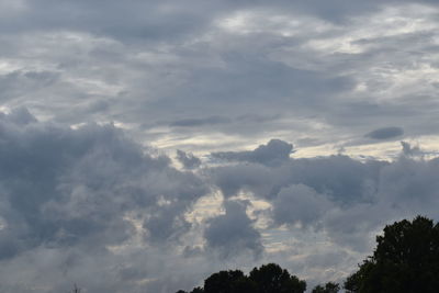 Low angle view of trees against sky