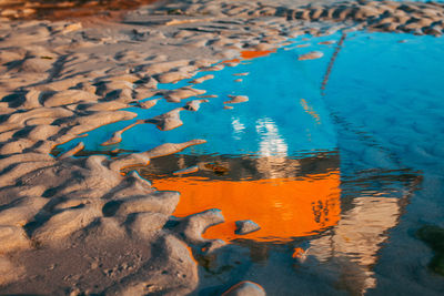 High angle view of birds in swimming pool