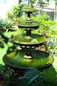 Close-up of fountain in garden