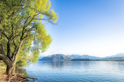 Scenic view of lake against clear blue sky