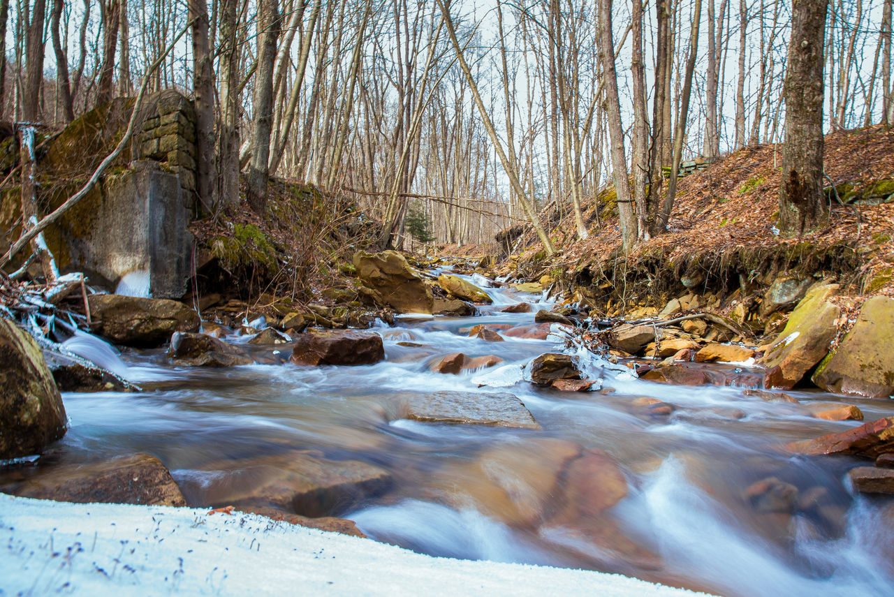 SCENIC VIEW OF STREAM FLOWING THROUGH FOREST