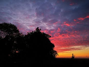 Low angle view of silhouette trees against sky during sunset