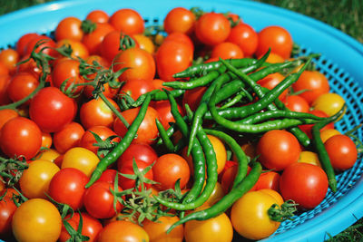 Close-up of tomatoes in basket