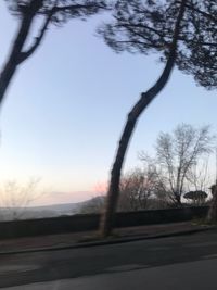 Road amidst bare trees on field against sky