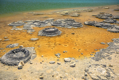 High angle view of footprints on sand at beach