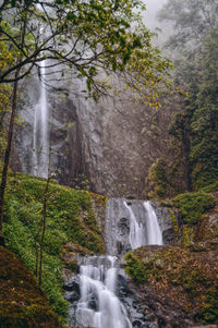 Low angle view of waterfall in forest