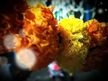 Close-up of yellow rose flower bouquet