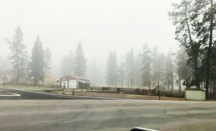 ROAD BY TREES DURING WINTER