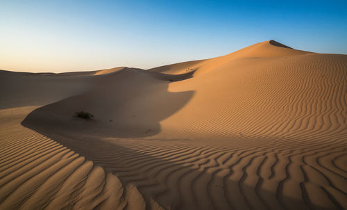 Sand dunes in a desert