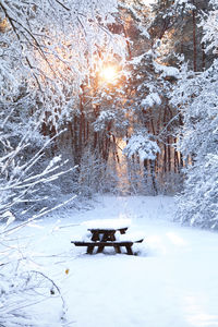 Snow covered field by trees during winter