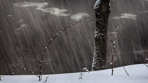 Aerial view of snow covered landscape