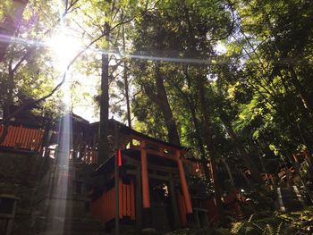 Low angle view of built structure against trees