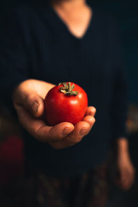 Close-up of hand holding apple