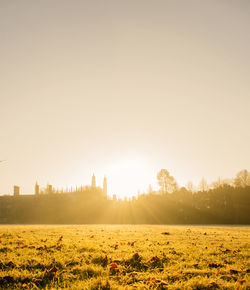 Scenic view of field against clear sky during sunset