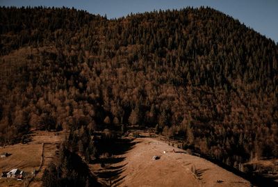 High angle view of trees on land against sky