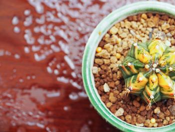 High angle view of vegetables in bowl on table