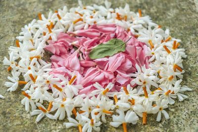 High angle view of pink flowering plants