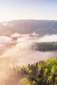 After a rain storm thunderstorm beautiful gentle mist rises cotton tufts on the mountain slopes