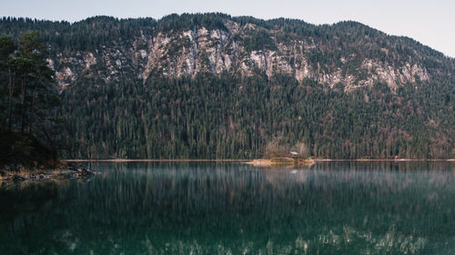 Scenic view of lake in forest