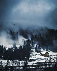 Low angle view of silhouette trees against sky during winter