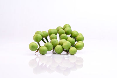Close-up of berries over white background
