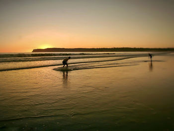 Scenic view of sea at sunset