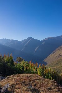 Scenic view of mountains against clear blue sky