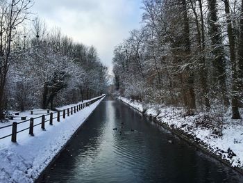 Snow covered canal amidst trees against sky