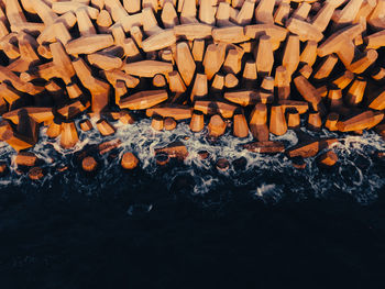 Full frame shot of logs in forest