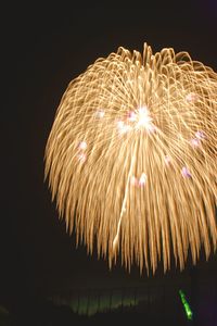 Firework display against sky at night