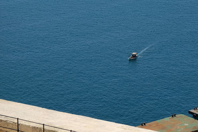 High angle view of birds on sea shore