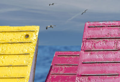 High angle view of seagull flying over sea