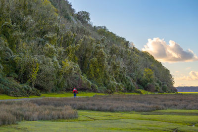 Rear view of man walking on field against sky near forest