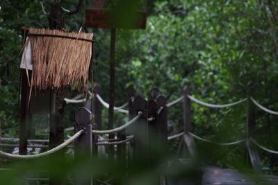 Clothes hanging on tree