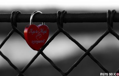 Close-up of love padlocks hanging on railing