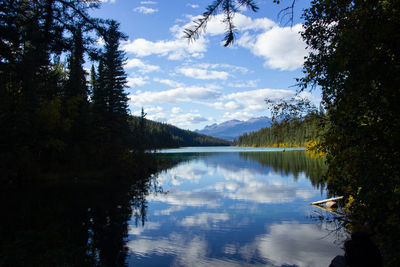 reflection