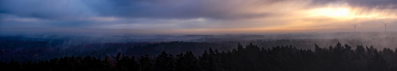 Panoramic shot of trees on landscape against sky during sunset