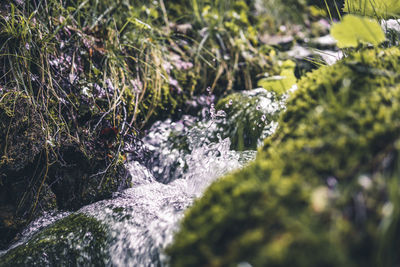 Close-up of water flowing through rocks