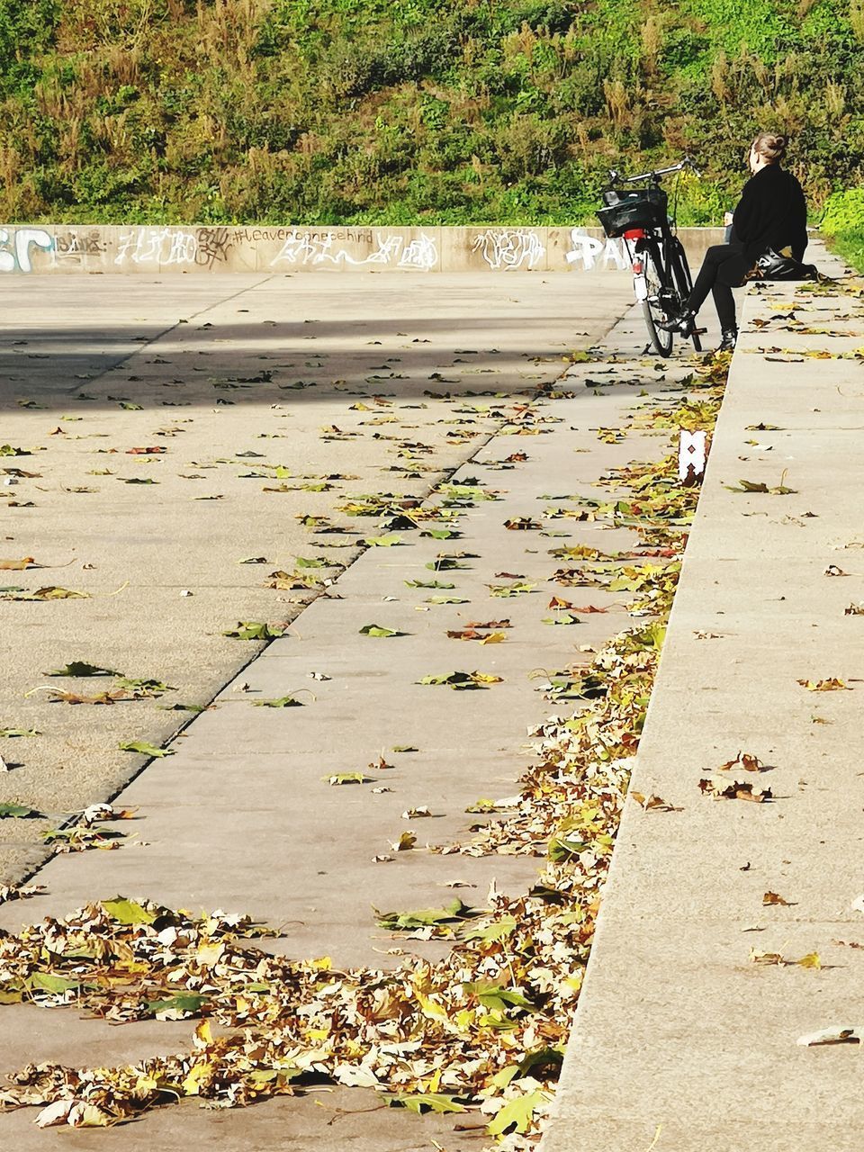 REAR VIEW OF MEN RIDING BICYCLE ON FOOTPATH