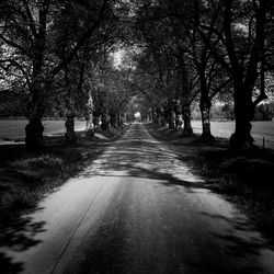 Street amidst trees against sky during autumn