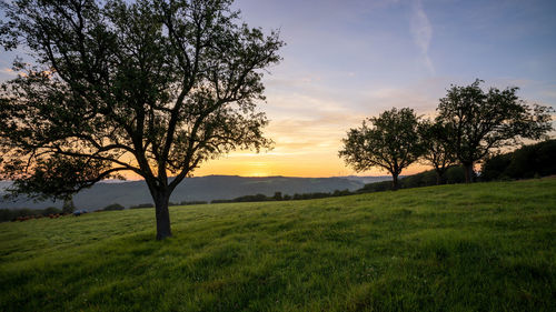 nature