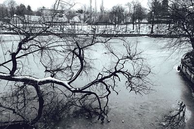 Bare tree by frozen river against sky during winter